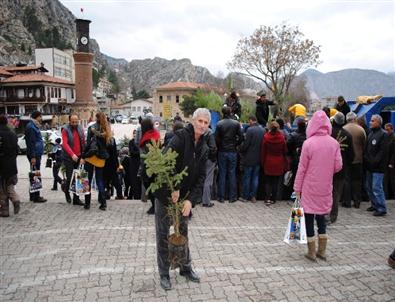 Ücretsiz Fidanlar Kapış Kapış Gitti
