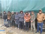 KAPIKULE SINIR KAPISI - Çimento Çuvallarının Arasından Kaçak Göçmen Çıktı