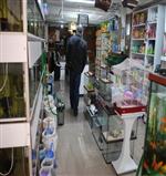 PET SHOP - Pet Shop Denetimleri