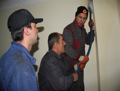 Bacalarınızı Mutlaka Temizletin