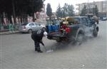 KıŞLAK - Büyükşehir Belediyesi İlaçlama Çalışmalarına Başladı