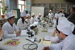KARDEŞ OKUL - Kazakistan'da 'mesleki ve Teknik Eğitimde Eğiticilerin Eğitimi'ne Devam Ediliyor