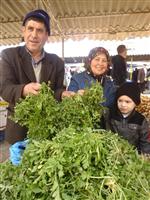 Hayrabolu'da Gelincik Bitkisine Büyük İlgi