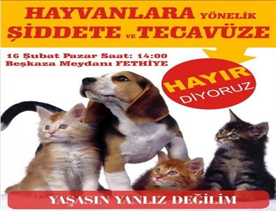 Hayvanlara Yönelik Şiddete Tepki Eylemi