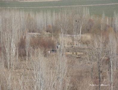 Diyarbakır’da Ellerinde Bomba Patlayan 2 Kişi Ağır Yaralandı
