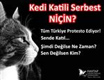 HAYVAN SEVERLER - Erzurum’da 'Hayvan Cinayetlerine Dur De!” Etkinliği Düzenlenecek