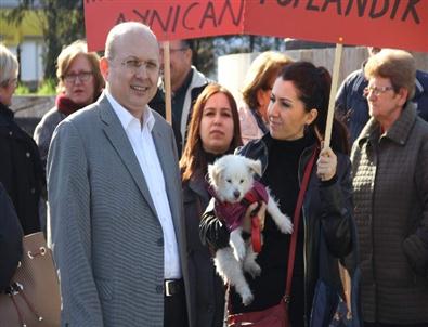 Kalay’dan Hayvan Severlere Destek