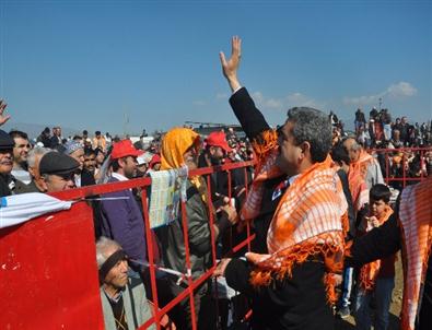 Seçim En Çok Deve Güreşi Severlere Yaradı