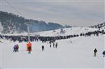 OSMAN ZOLAN - Ekonomi Bakanı Nihat Zeybekci, Bozdağ’da Kar Şenliği’ne Katıldı