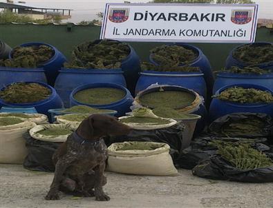 Diyarbakır’da 892 Kilo Esrar Ele Geçirildi