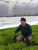 ATAKÖY - (özel Haber) Üreticilerin Yüzü Seralarla Gülüyor