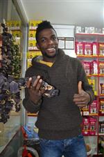 OTURMA İZNİ - Bal Ligi