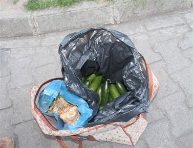 Şüpheli Paketten 'hıyar'Çıktı