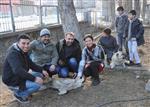 HAYVAN HAKLARı FEDERASYONU - Gazeteciler Donmaktan Kurtardıkları Köpekleri Ziyaret Etti