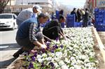 Erzincan’da Binlerce Çiçek Toprakla Buluştu