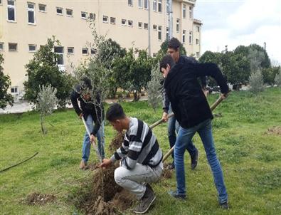 Jandarma, 175. Yaşını Fidan Dikerek Kutladı