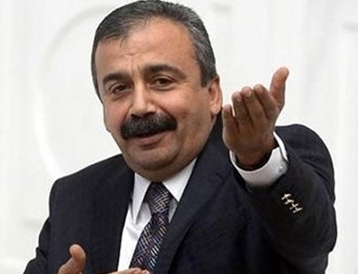 Sırrı Süreyya Önder, kendine oy veremedi