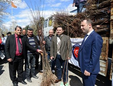 Doğu Makedonya’da Meyveciliğin Geliştirilmesine Destek