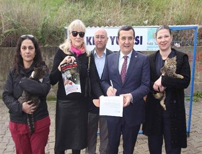 Narlıdereli Kedilerin Yuvası Hazır