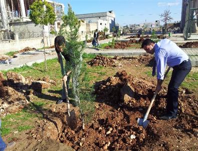 Hilvan’da Öğrenciler Fidanları Toprakla Buluşturdu