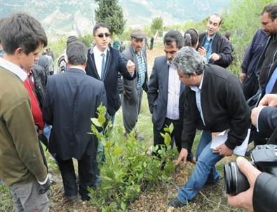 Orman Bölge Müdürlüğü, Çamlıyayla’da Yeşil Altın Semineri Düzenledi