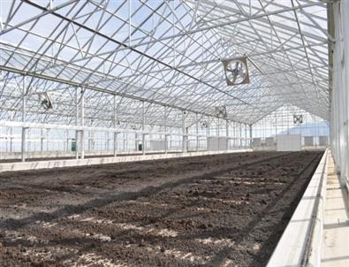 Bin 500’lük Ağaca Bedel İmza