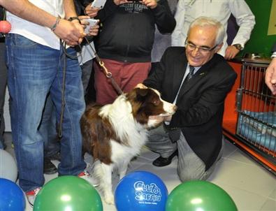 Sevimli Dostlarınız Taurus’a Emanet