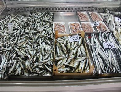 Av Yasağı Başlıyor