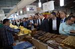 TARIM VE HAYVANCILIK FUARI - Satso Üyeleri Diyarbakır’da İncelemelerde Bulundu