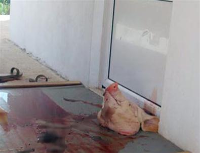 Yunanistan'da Mescid Kapısına Kesik Domuz Başı Bırakıldı