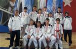 AHMET DEMIRCI - Yenişehirli Karatecilerin Büyük Başarısı