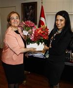 Başkan Pektaş Açıklaması