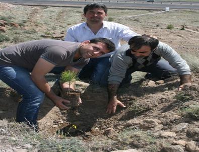 Kayseri'de Prof Dr. Es'ad Coşan Hatıra Ormanı Oluşturuldu