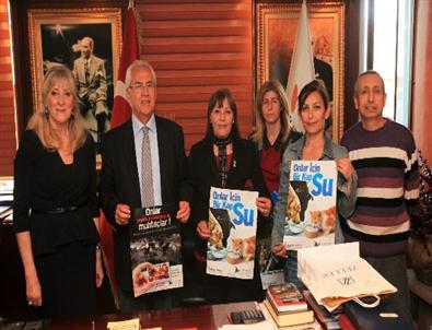 Başkan Selvitopu'ndan Hayvanseverlere Söz