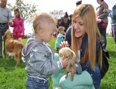 (özel Haber)  23 Nisan Kutlamaları Sırasında Yavru Köpekler İlgi Odağı Oldu