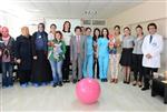 TIBBİ DESTEK - Sakarya Kadın Doğum ve Çocuk Hastanesi'nde Ebeler Haftası Kutlandı