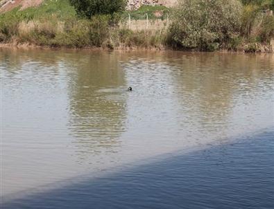 Balıkadamlar Dicle Nehri’nde Suç Aleti Aradı