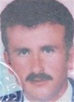 ALI TERZI - Kestiği Ağacın Altında Kaldı