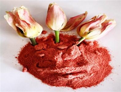 Lale Yapraklarından Boya Elde Ediyorlar