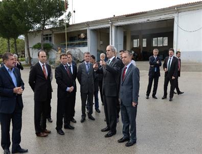 Dağ Yöresi Büyükşehir İle Gülecek