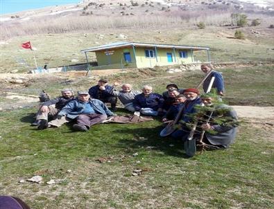 Koyulhisar’da Ağaçlandırma Çalışmaları