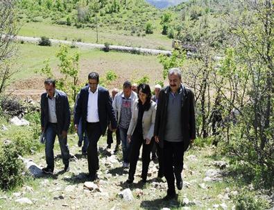 Hdp'liler Lice'de