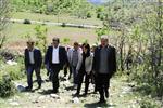 PERVIN BULDAN - Hdp'liler Lice'de