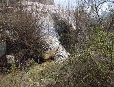 Kent Konseyi’nin Gündeminde Çevre Var