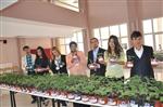 ORGANİK SEBZE - Kırıkkale’de 'Organik Mi Acaba” Konulu Panel Düzenlendi