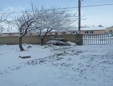 Van’da Nisan Karı