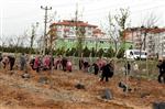 İSMAIL ÇELIK - Kmü’de Bin 850 Fidan Toprakla Buluşturuldu