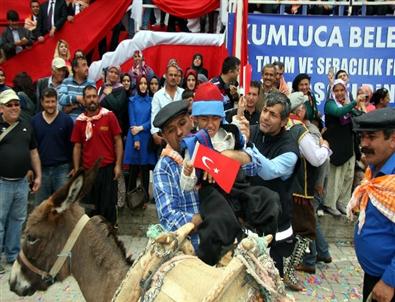 (özel Haber) Yörük Göçünde Eşek İnadı