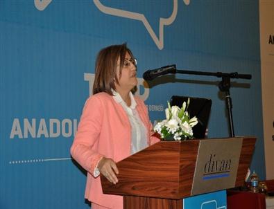 Şahin Açıklaması