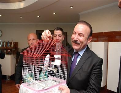 Başkan Doğan’a Muhabbet Kuşu Getirdiler